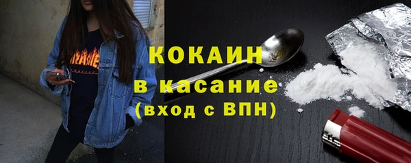 индика Богданович