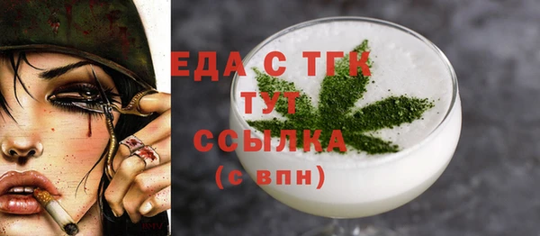 индика Богородск