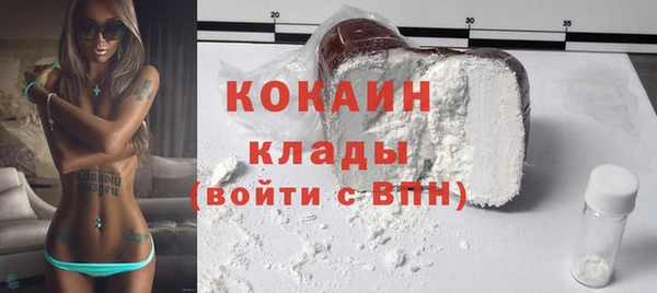 индика Богданович