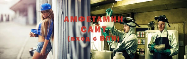 индика Богданович