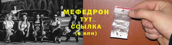 индика Богородск