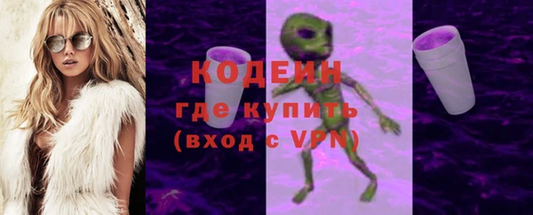 индика Богородск