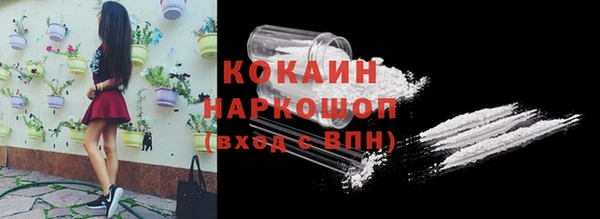 спиды Богородицк