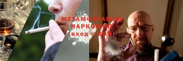 индика Богданович