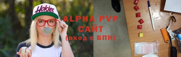 спиды Богородицк