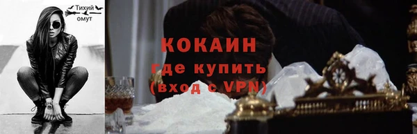 индика Богданович