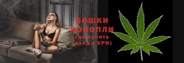 индика Богданович