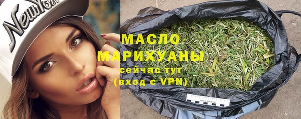 спиды Богородицк