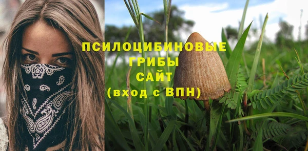 мяу мяу мука Беломорск