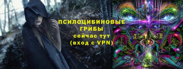 индика Богородск