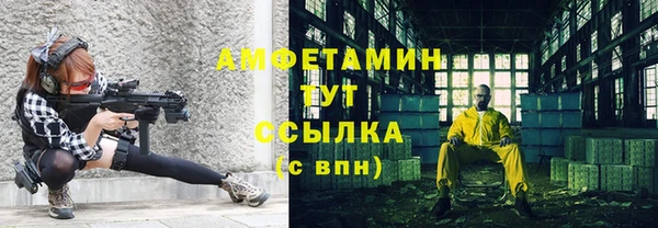 индика Богородск