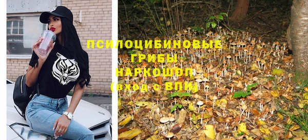 спиды Богородицк