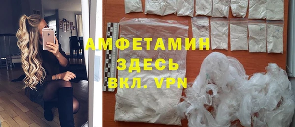 спиды Богородицк