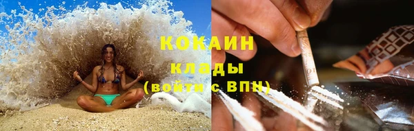 спиды Богородицк