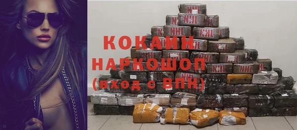 индика Богданович