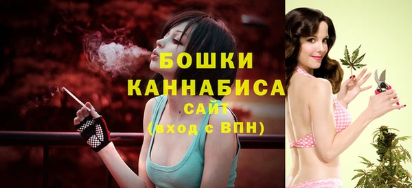 индика Богородск