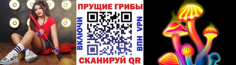 Галлюциногенные грибы MAGIC MUSHROOMS  наркотики  Плёс 