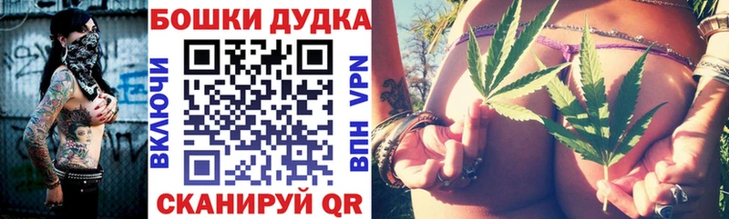 KRAKEN ONION  купить  сайты  Плёс  МАРИХУАНА Ganja 